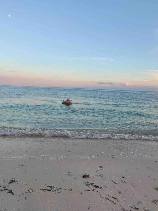 Your Happy Place On The Beach! Key Colony Beach Exteriör bild